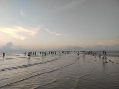 -启东黄金海滩景区
