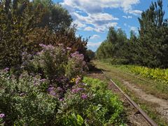 -永定河休闲森林公园