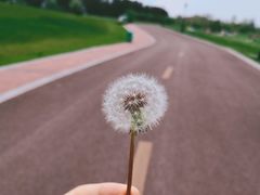 -云漫湖生态度假公园