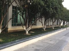 -苏州图书馆(人民路总馆)