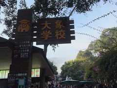 -野象谷景区