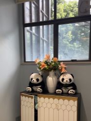 -云南吴氏嘉美医疗美容医院