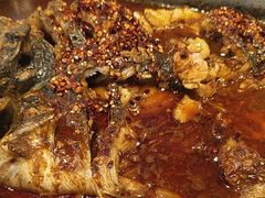 -鱼酷活鱼烤鱼(沈阳大悦城店)