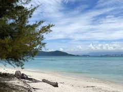 -东姑阿都拉曼海洋公园