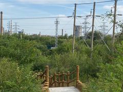 -白水寺森林公园