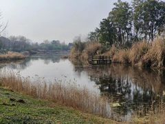 -白鹭湾湿地公园