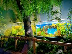 -沈阳海洋探索中心