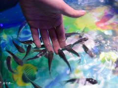 -泰国鱼疗足疗馆