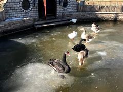 -南宫五洲植物乐园