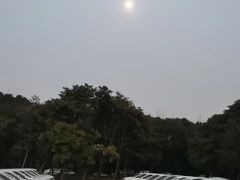 -胜华驾校·小猫学车(银都店)