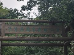 -牛背梁国家森林公园