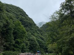 -水墨汀溪风景区