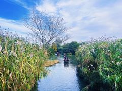-沙家浜风景区