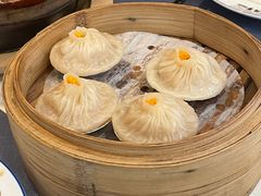 -点都德·毕德寮