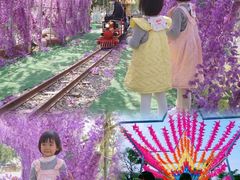 -长洲岛都市农业公园