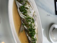 招牌清蒸钱塘江白条-柳莺湖上·湖景餐厅·江南菜(西湖店)