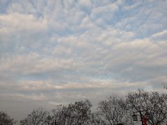 -三江森林温泉度假区