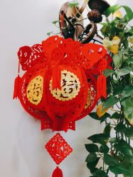 -碧莲盛·不剃发植发