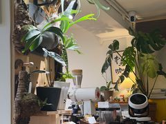 -本無咖啡·BeanWood Coffee