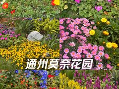 -西海子公园