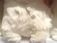 -KKV(上海月星环球港主力店)