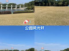 -东莞植物园
