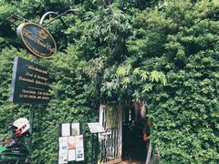 -Fern Forest Cafe