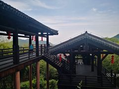 -大唐贡茶院