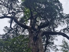 -青岛崂山太清宫