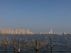 -厦门园林博览苑
