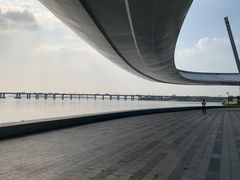 -宝安西湾红树林湿地公园