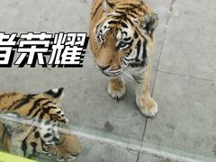 -西安秦岭野生动物园