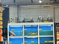 -金龙·打边炉(南京西路店)