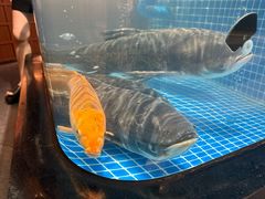 -许爷家·生态湖鲜(徐汇日月光店)