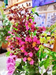 -今日陶艺(富力广场店)