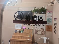 -唐小姐の私宠·宠物洗护美容·撸猫馆·购宠(周浦万达旗舰店)