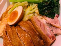 金奖卤鹅肉饭-陈鹏鹏潮汕菜(宝安机场T3航站楼店)