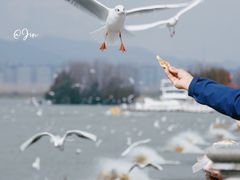 -昆明冠生园·蛋糕·面包(南强街店)