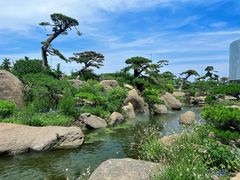 -罗红摄影艺术馆