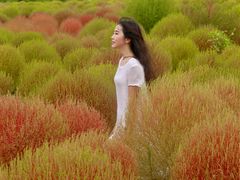 -映月湖中央公园