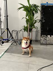 -北遇映画PHOTO GRAPHY STUDIO