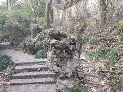 -团城山公园