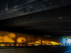 -南湖湿地公园