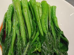 白灼菜心-宝园酒家(美林M·LIVE天地东座店)