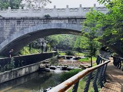 -白水寺森林公园