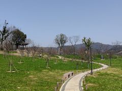 -慈城古县城景区