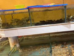 -蚝味小馆·粤西小海鲜