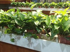 大堂-多福饺·家常菜(谷德店)