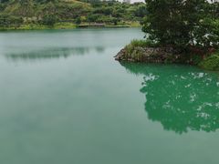 -水濂山森林公园