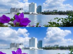-洲头咀公园